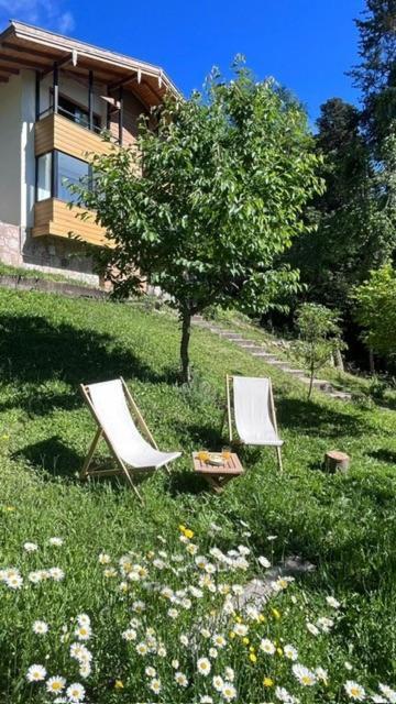 ラ・クンブレシータ Casa Raiz Cumbrecita Bed & Breakfast エクステリア 写真